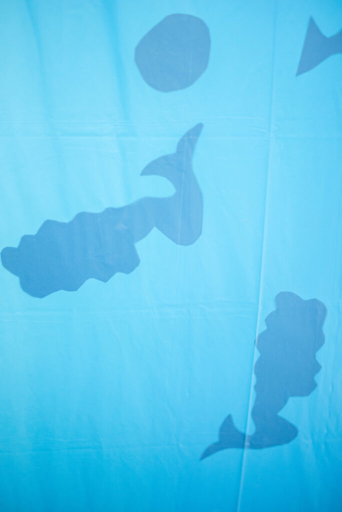 Throw a magical mermaid birthday party without breaking the bank! Discover budget-friendly DIY ideas using Dollar Tree and Amazon decor for an unforgettable under-the-sea celebration.